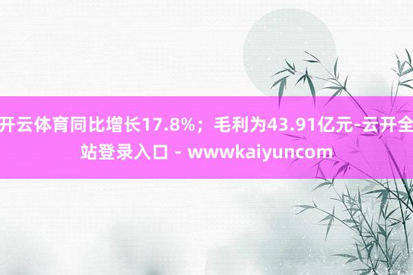 开云体育同比增长17.8%；毛利为43.91亿元-云开全站登录入口 - wwwkaiyuncom