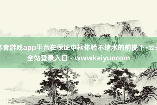 体育游戏app平台在保证中枢体验不缩水的前提下-云开全站登录入口 - wwwkaiyuncom