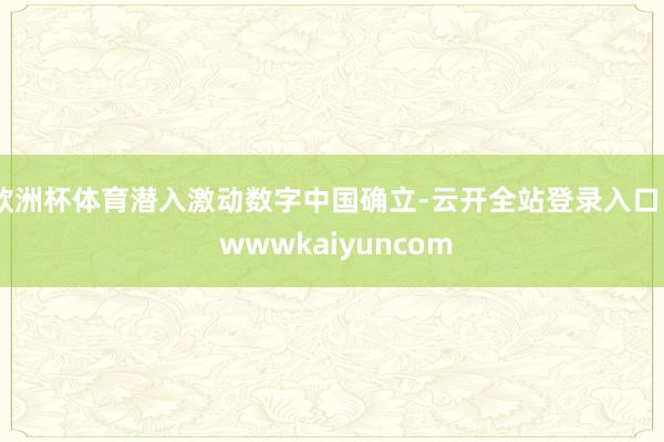 欧洲杯体育潜入激动数字中国确立-云开全站登录入口 - wwwkaiyuncom