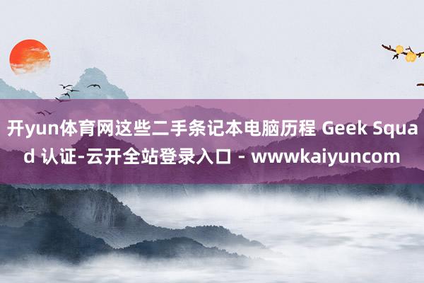开yun体育网这些二手条记本电脑历程 Geek Squad 认证-云开全站登录入口 - wwwkaiyuncom