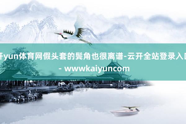 开yun体育网假头套的鬓角也很离谱-云开全站登录入口 - wwwkaiyuncom