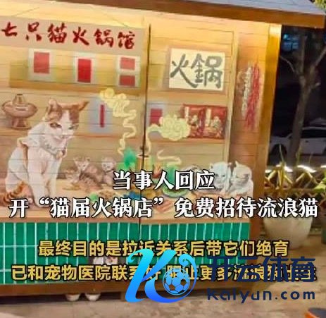 男人给流浪猫开了专属暖锅店，心思流浪猫绝育呵护舒心