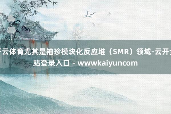 开云体育尤其是袖珍模块化反应堆（SMR）领域-云开全站登录入口 - wwwkaiyuncom