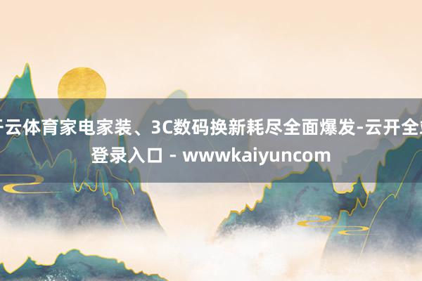 开云体育家电家装、3C数码换新耗尽全面爆发-云开全站登录入口 - wwwkaiyuncom