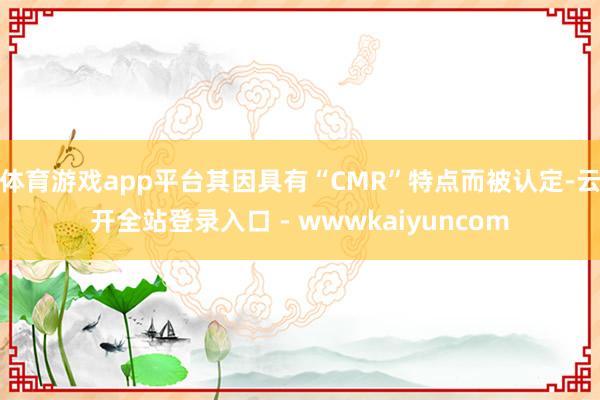 体育游戏app平台其因具有“CMR”特点而被认定-云开全站登录入口 - wwwkaiyuncom