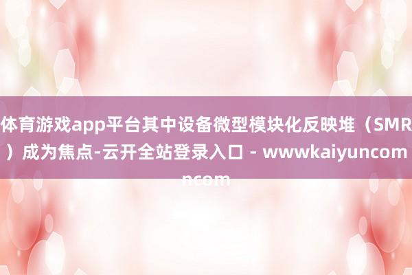 体育游戏app平台其中设备微型模块化反映堆（SMR）成为焦点-云开全站登录入口 - wwwkaiyuncom