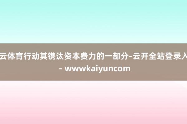 开云体育行动其镌汰资本费力的一部分-云开全站登录入口 - wwwkaiyuncom